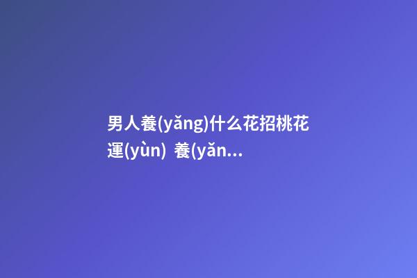 男人養(yǎng)什么花招桃花運(yùn)  養(yǎng)殖康乃馨增添氣色